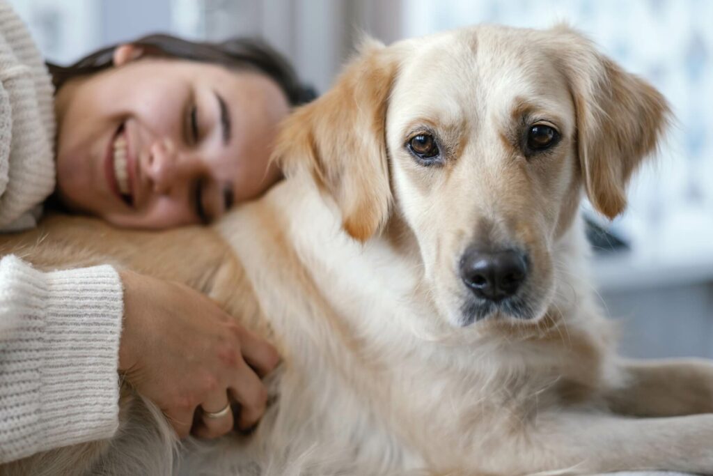 Tierversicherung Hund QuadrigaS
